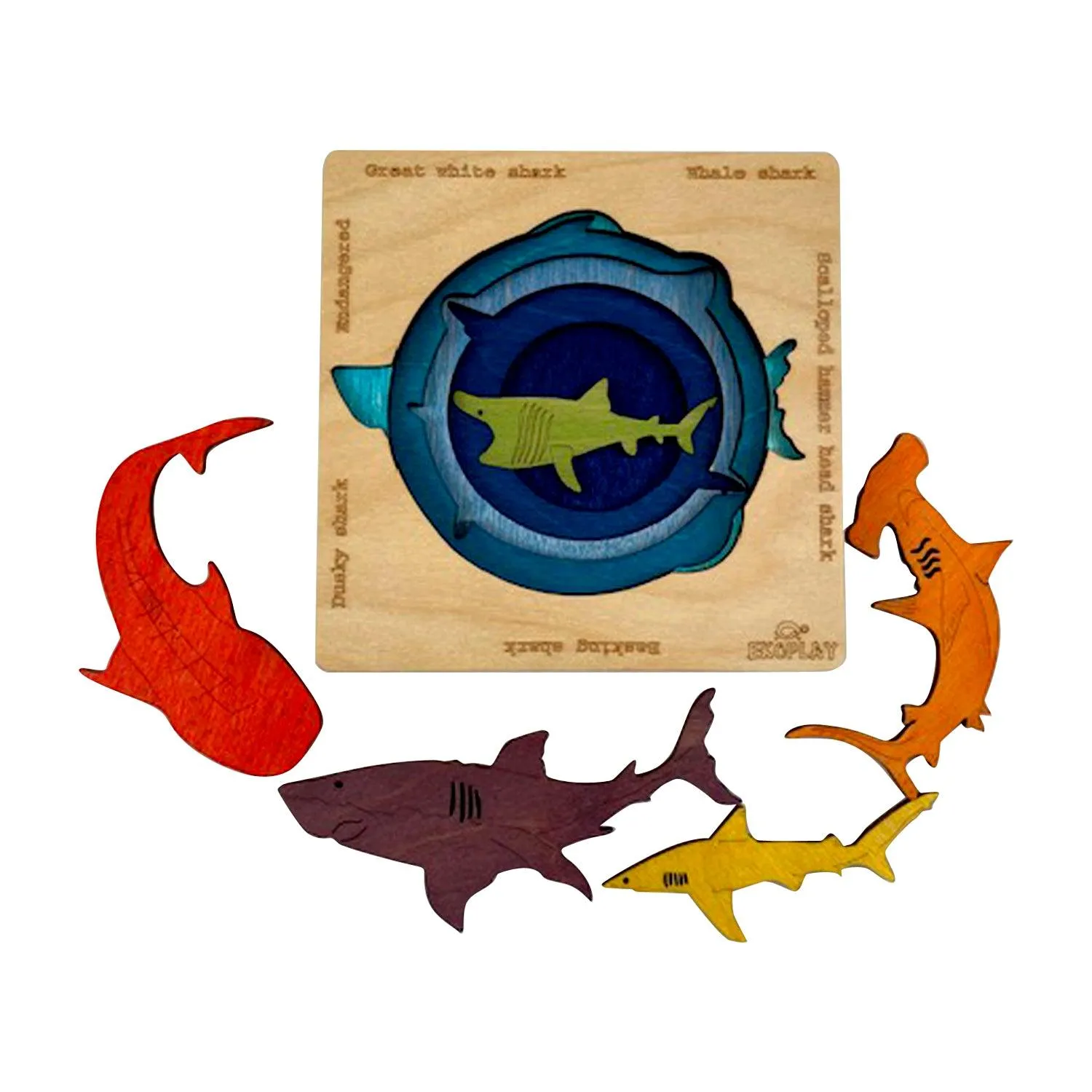 Endangered Sharks