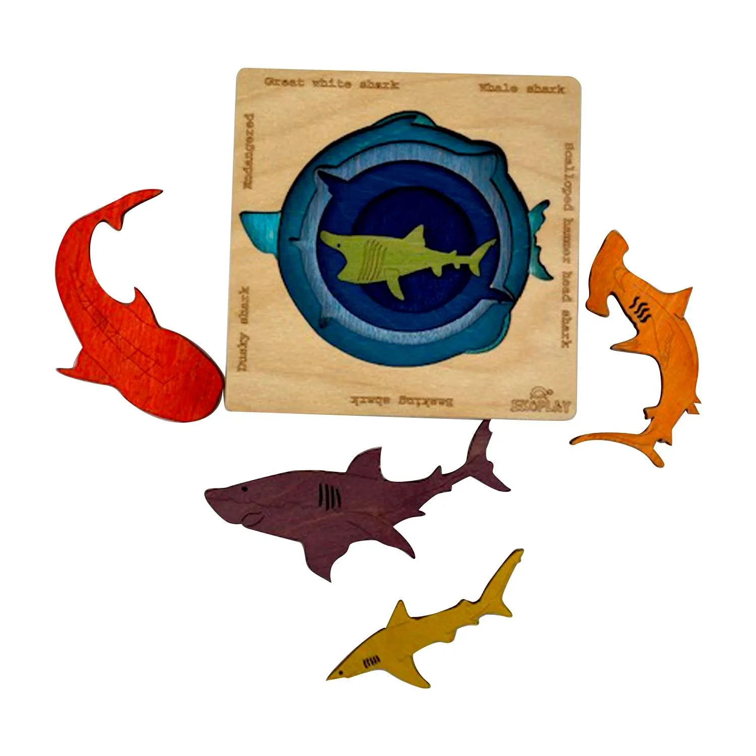 Endangered Sharks