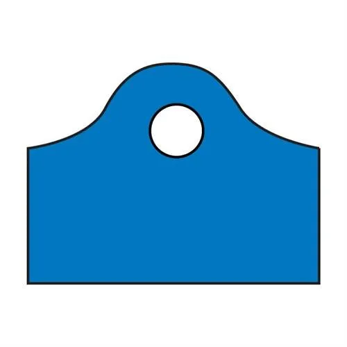 Frosted Super Wave Bags 12 x 11 x 4 - (Lagoon Blue)