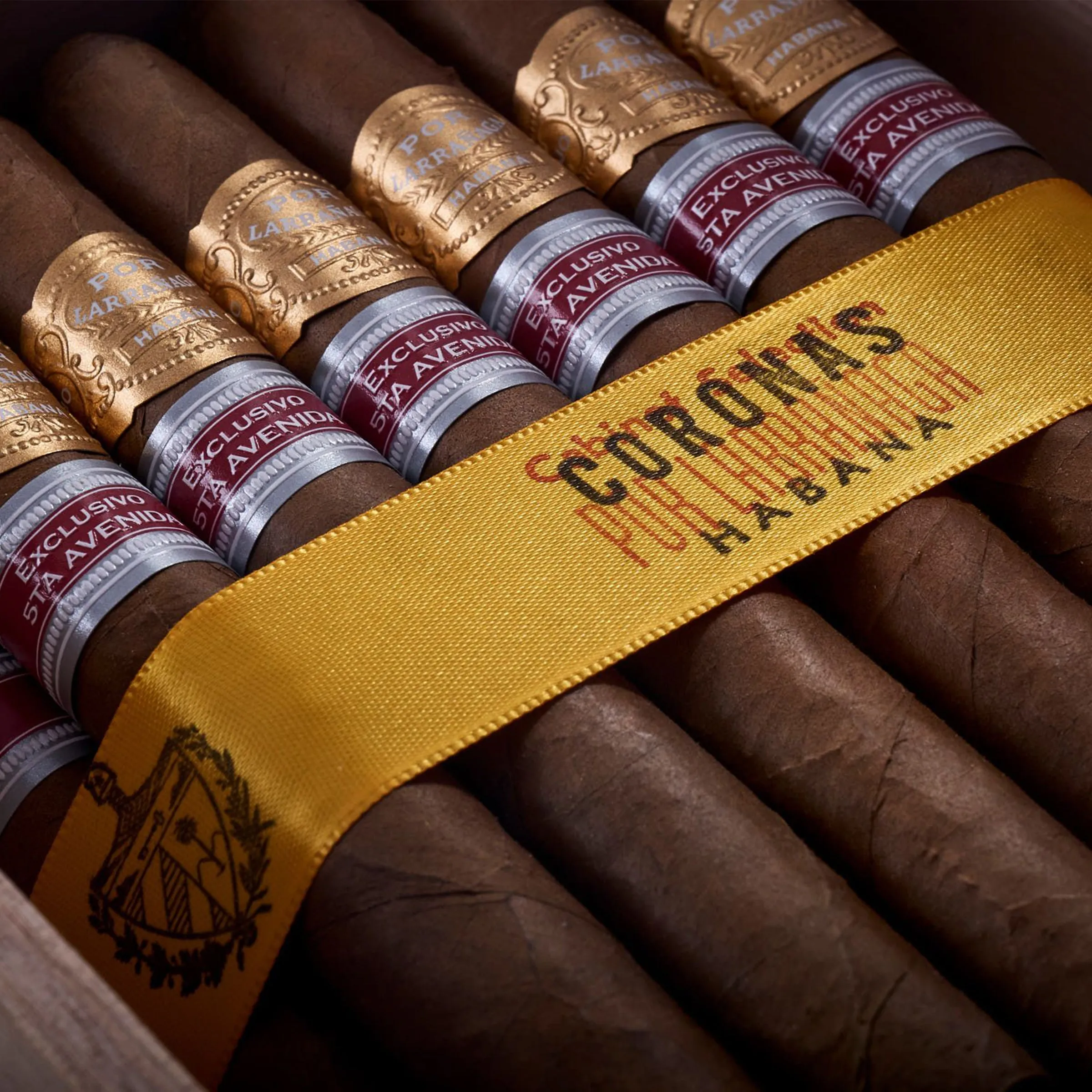 Por Larrañaga Coronas (Ex. 5ta Avenida 2017)