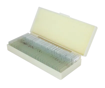 Saxon Animals Biological Micrcoscope Prepared Slides (50pcs) (310005)