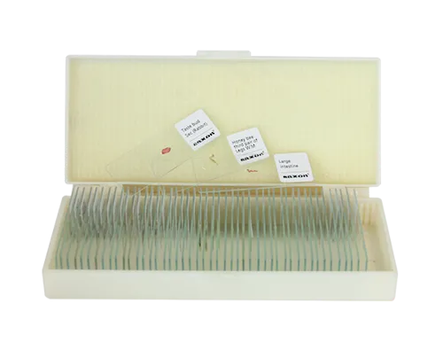 Saxon Animals Biological Micrcoscope Prepared Slides (50pcs) (310005)