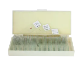 Saxon Animals Biological Micrcoscope Prepared Slides (50pcs) (310005)
